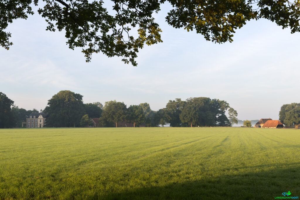 Uitzicht